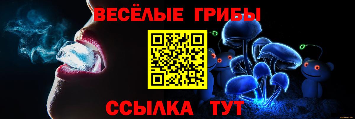Галлюциногенные грибы мицелий Кохма
