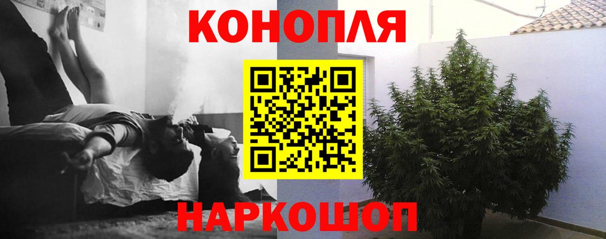 Бошки марихуана ГИДРОПОН  Каннабис сатива  МАРИХУАНА White Widow  Кохма  Вход с VPN 